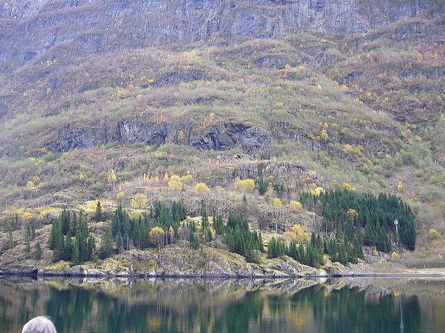 p1030149.jpg