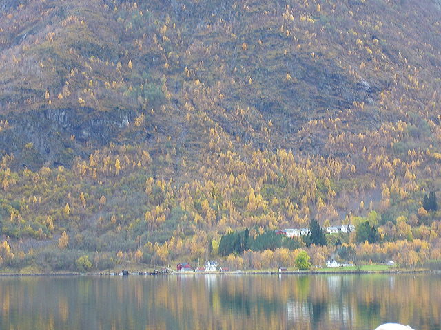 p1030192.jpg