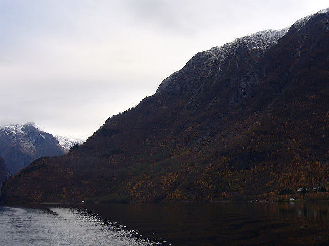 p1030194.jpg