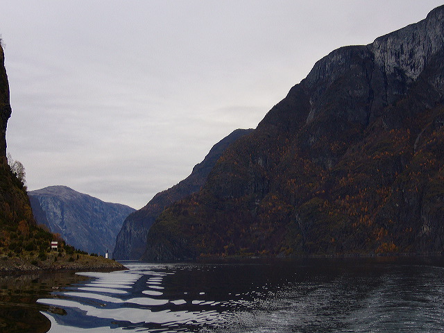 p1030228.jpg