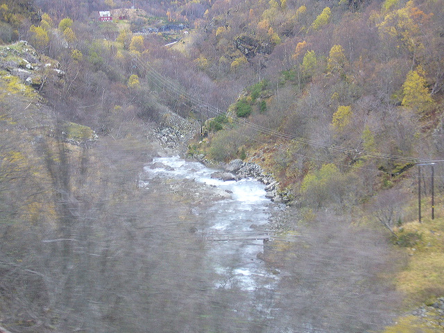p1030258.jpg