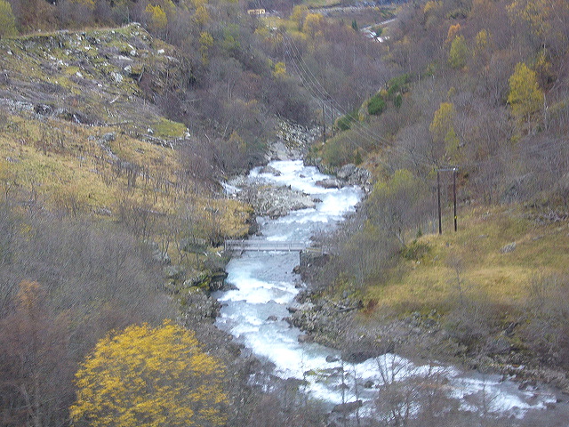 p1030259.jpg