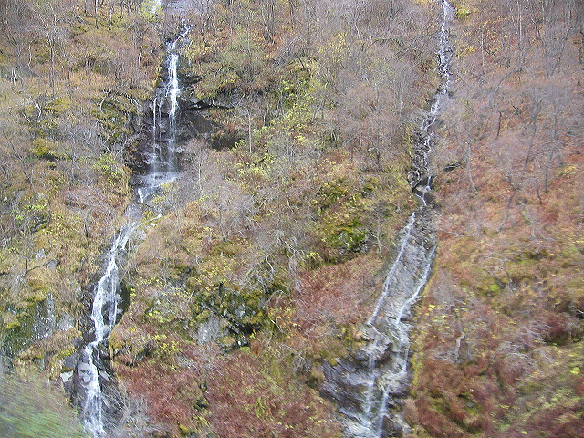 p1030260.jpg