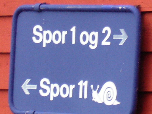 p1030283.jpg