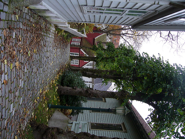 p1030288.jpg