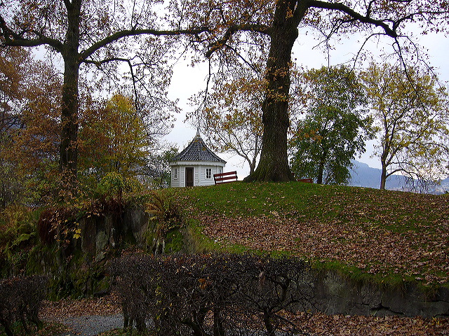 p1030292.jpg