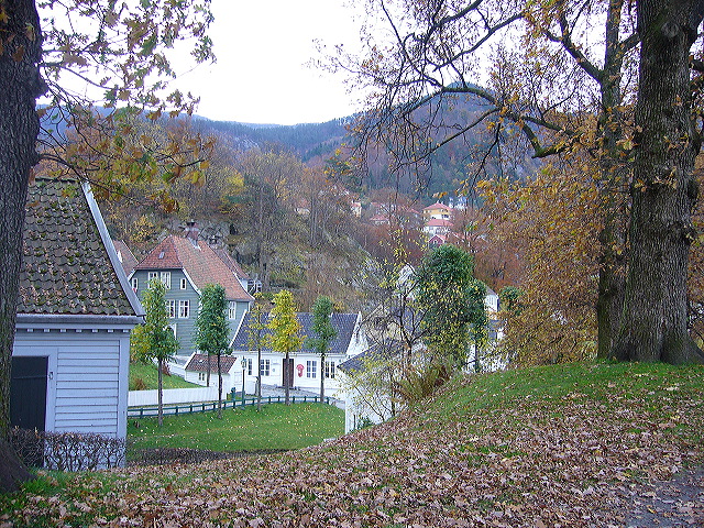 p1030297.jpg