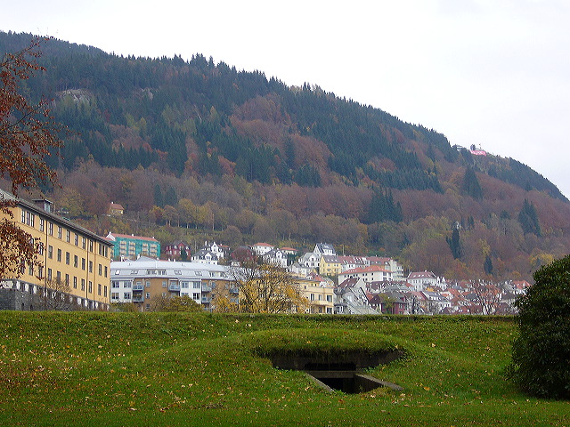 p1030305.jpg