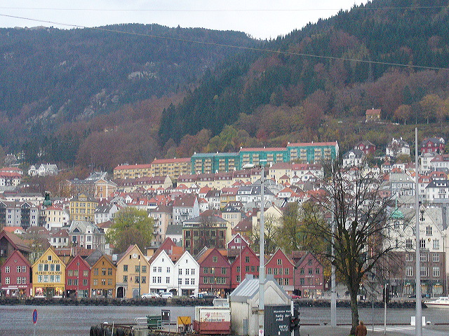 p1030306.jpg