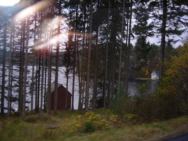 p1030311.jpg