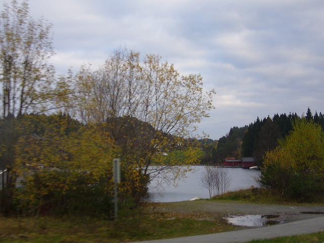 p1030315.jpg