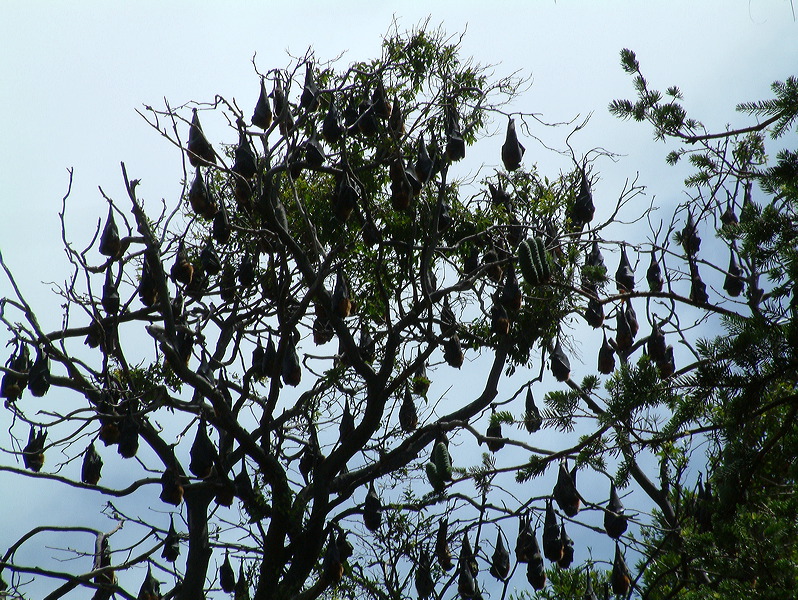 dscf0030.jpg