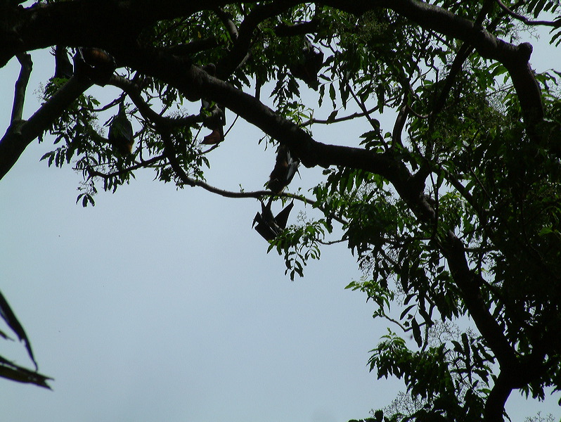 dscf0032.jpg