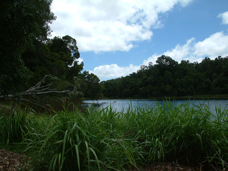 dscf0073.jpg
