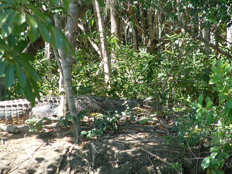 dscf0124.jpg