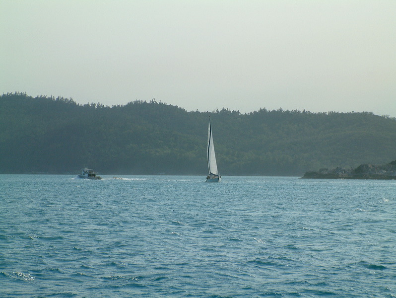 dscf0207.jpg