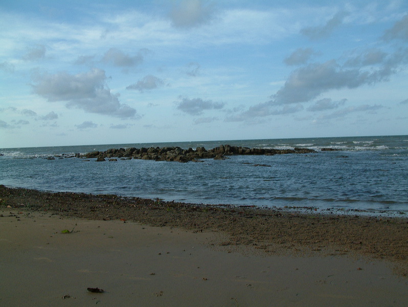 dscf0225.jpg