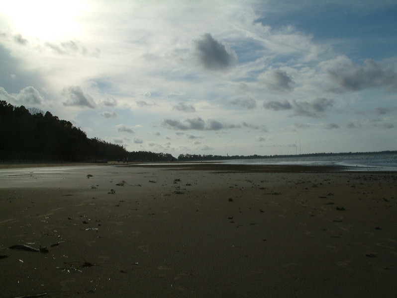 dscf0227.jpg