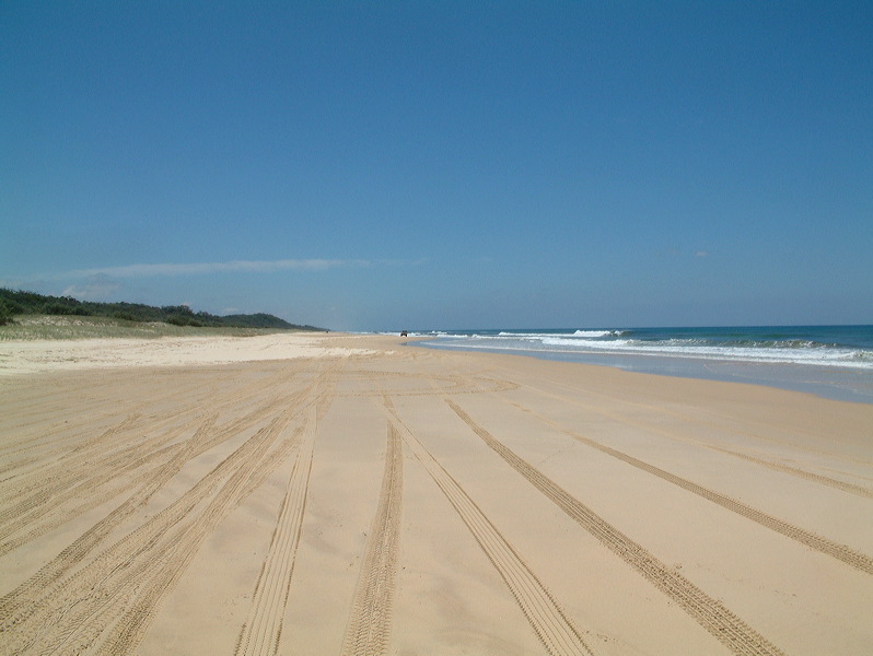 dscf0235.jpg