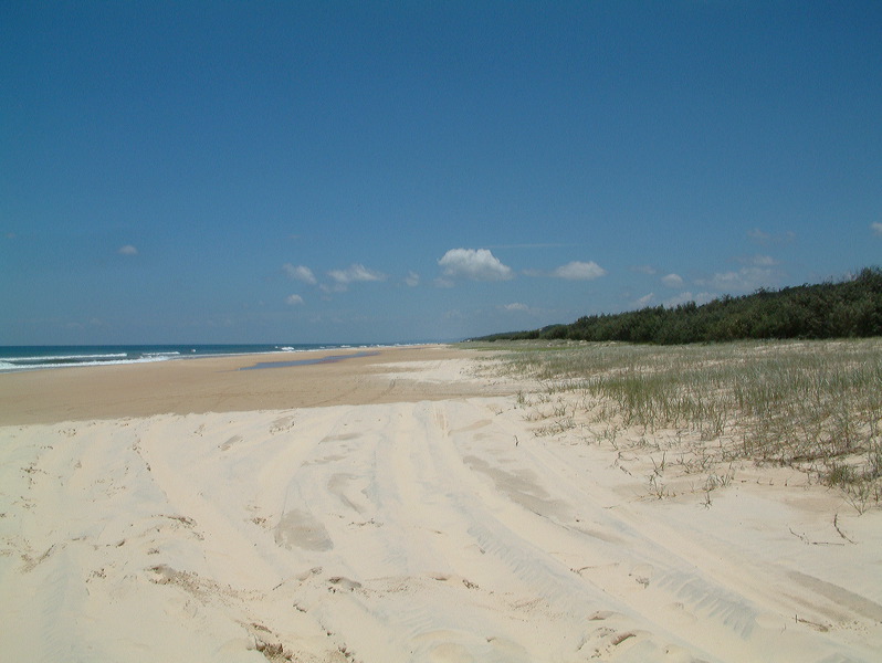 dscf0239.jpg