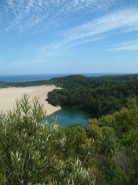 dscf0245.jpg