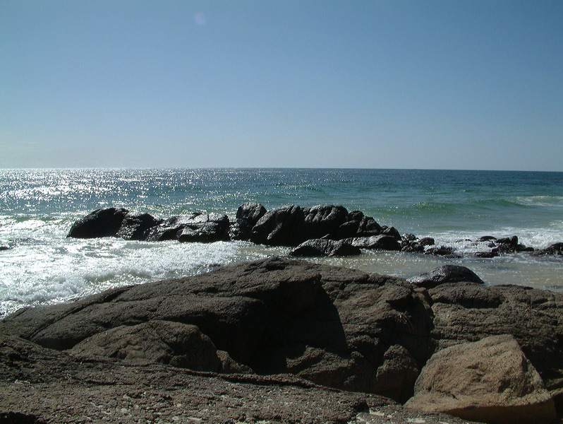 dscf0294.jpg