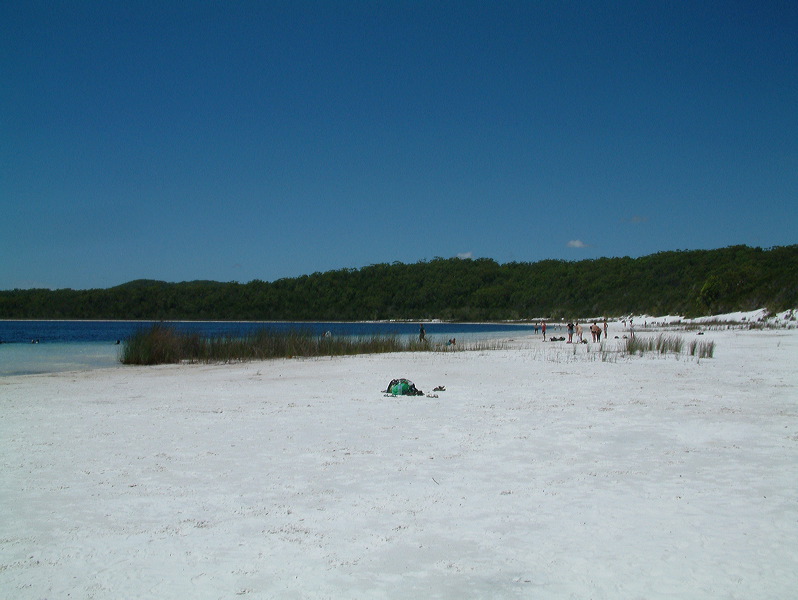 dscf0323.jpg