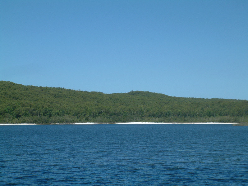 dscf0330.jpg