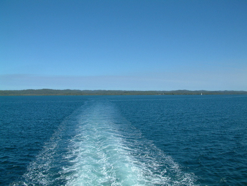 dscf0334.jpg