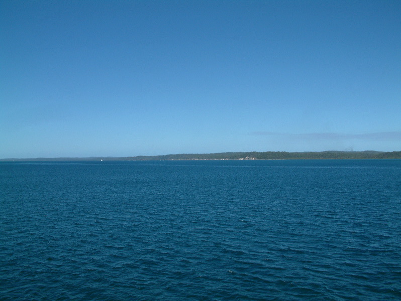 dscf0335.jpg