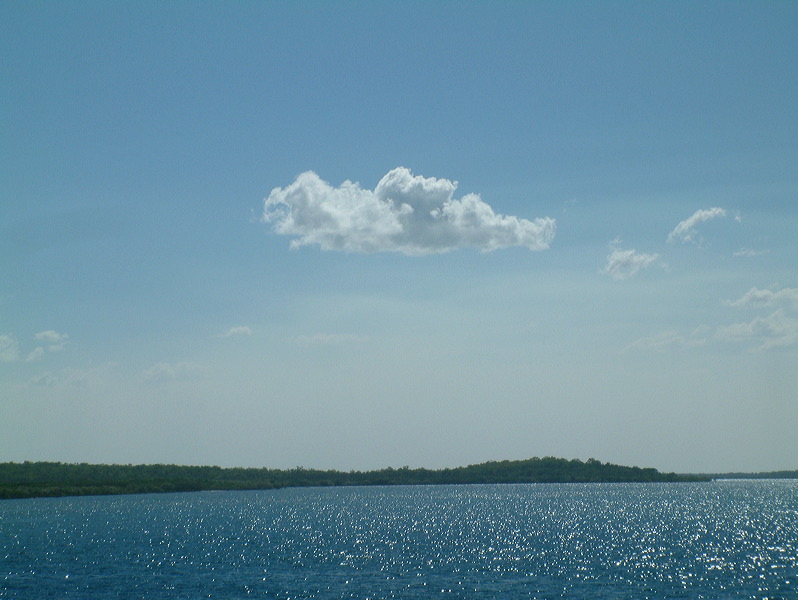 dscf0336.jpg