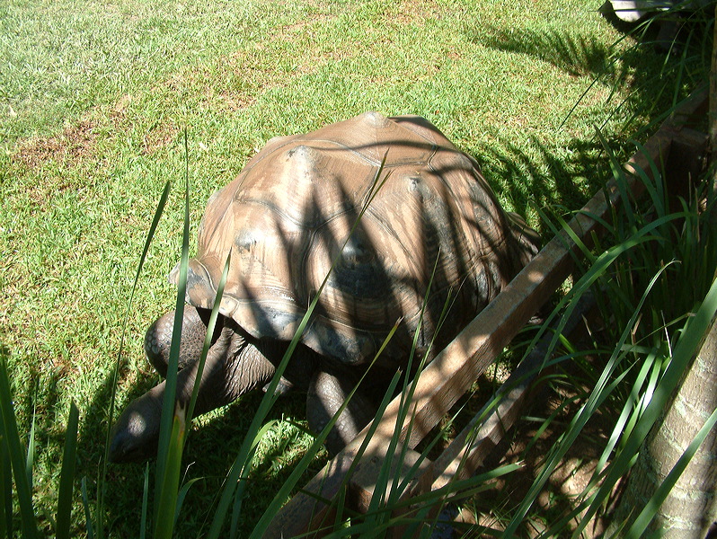 dscf0341.jpg