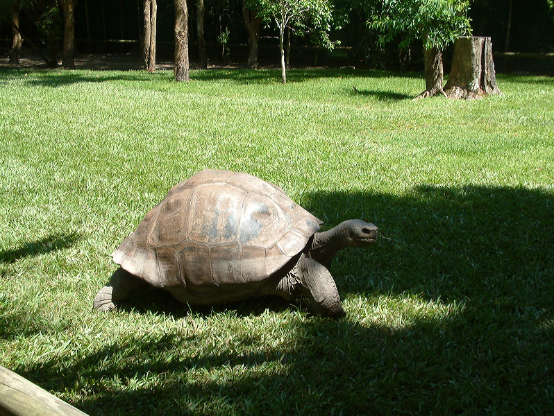 dscf0342.jpg