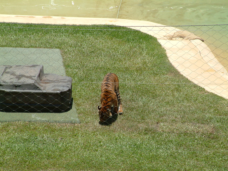dscf0353.jpg
