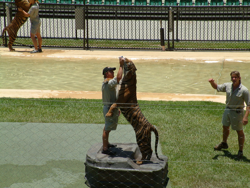 dscf0355.jpg