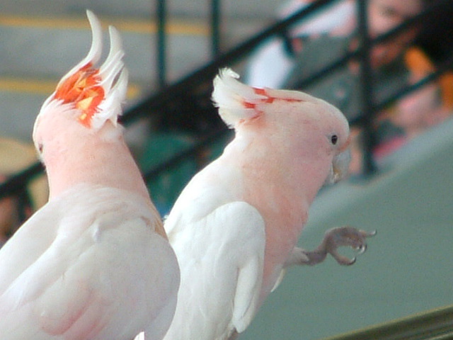 dscf0361.jpg