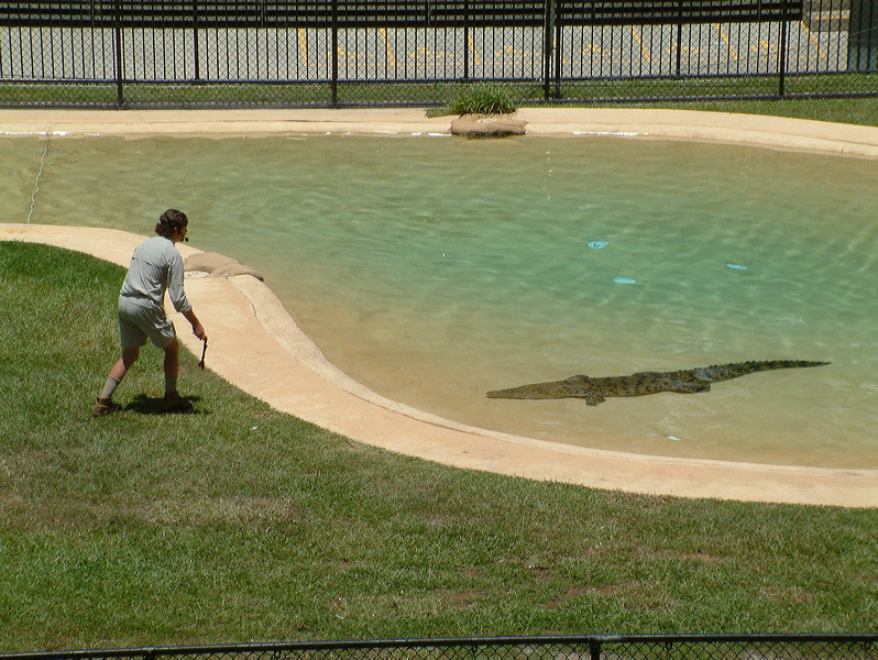 dscf0362.jpg