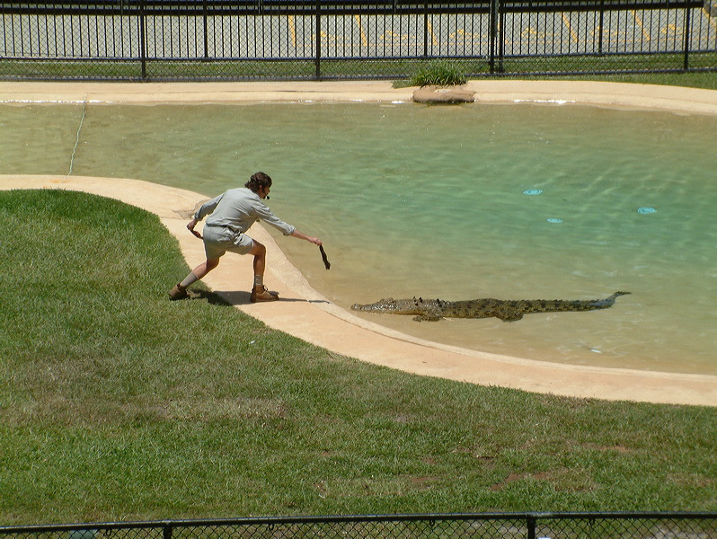 dscf0363.jpg