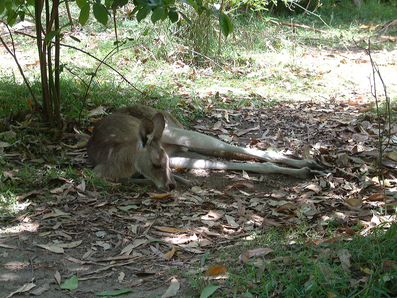 dscf0372.jpg