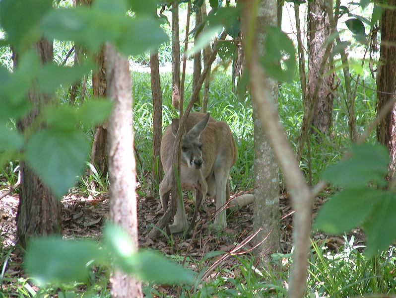 dscf0373.jpg