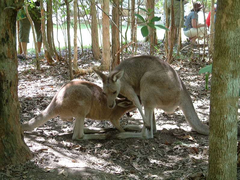dscf0376.jpg
