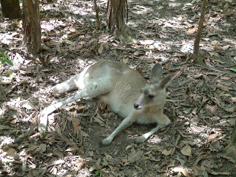 dscf0377.jpg