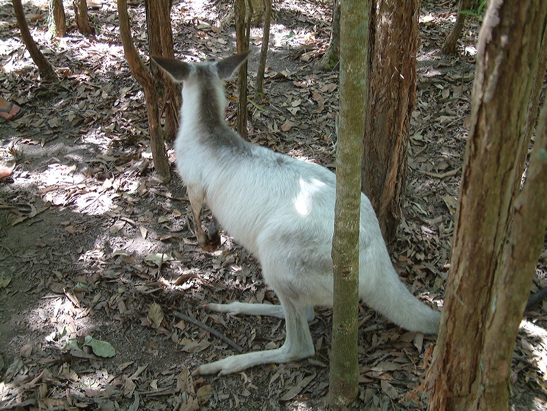 dscf0378.jpg