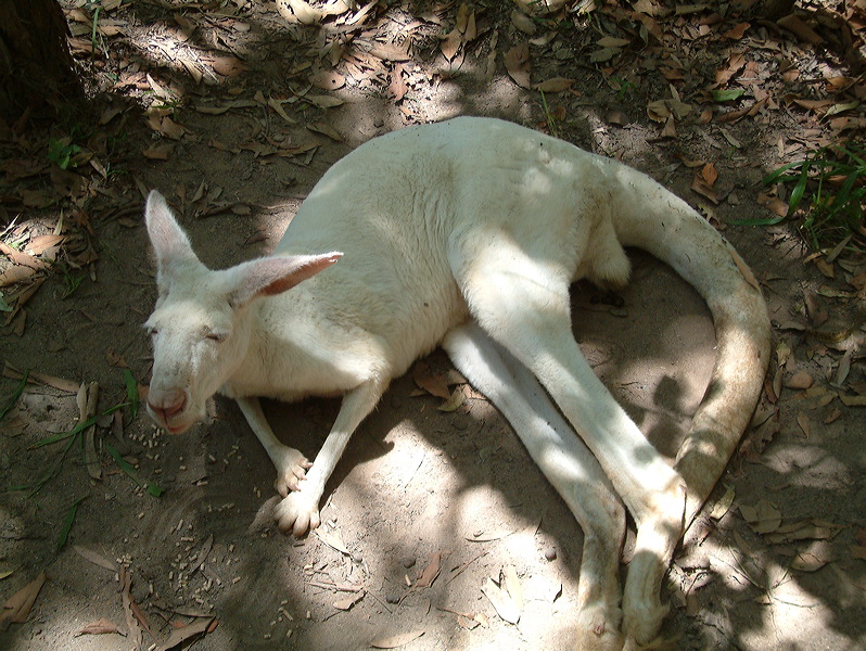 dscf0379.jpg