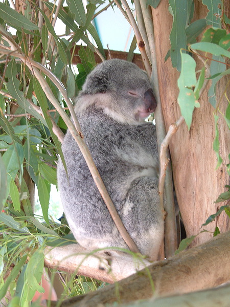 dscf0381.jpg