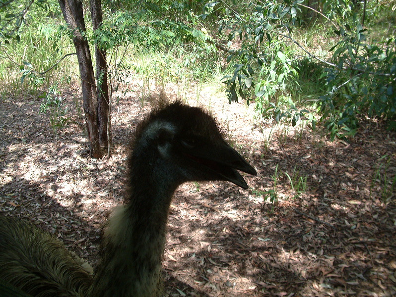 dscf0383.jpg