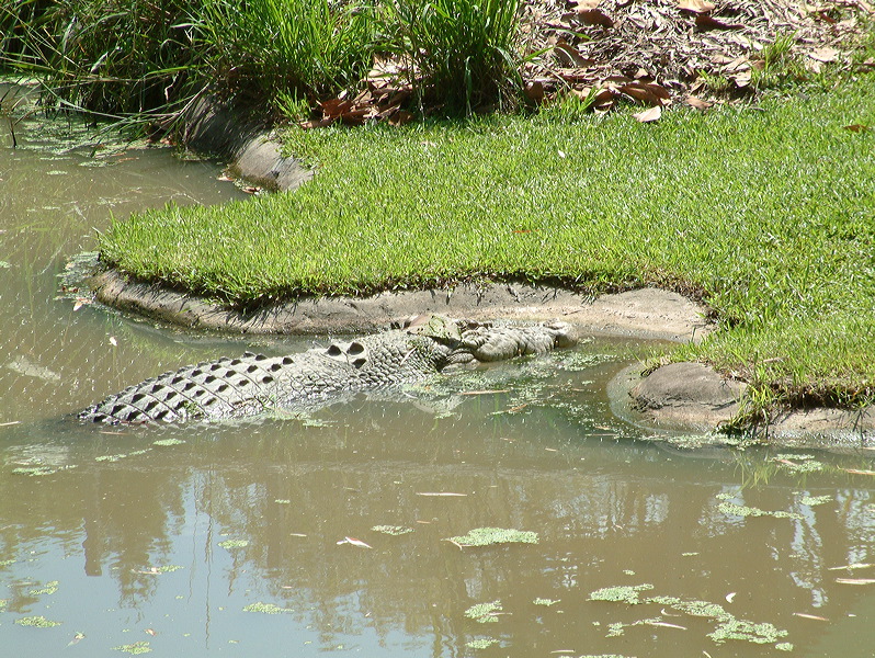 dscf0392.jpg