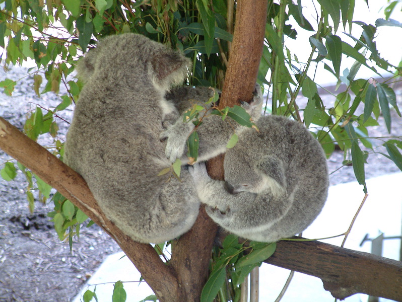 dscf0398.jpg
