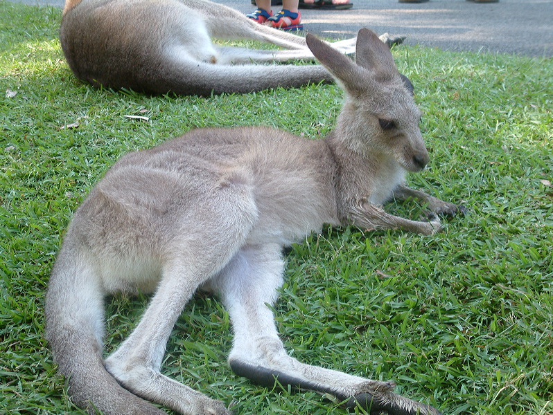 dscf0415.jpg