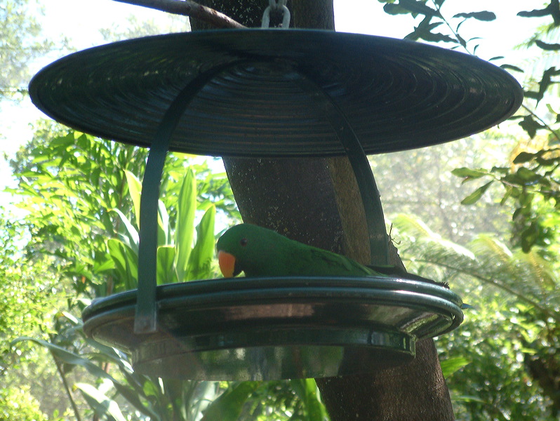 dscf0416.jpg